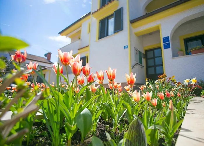 Apartment House Matosevic